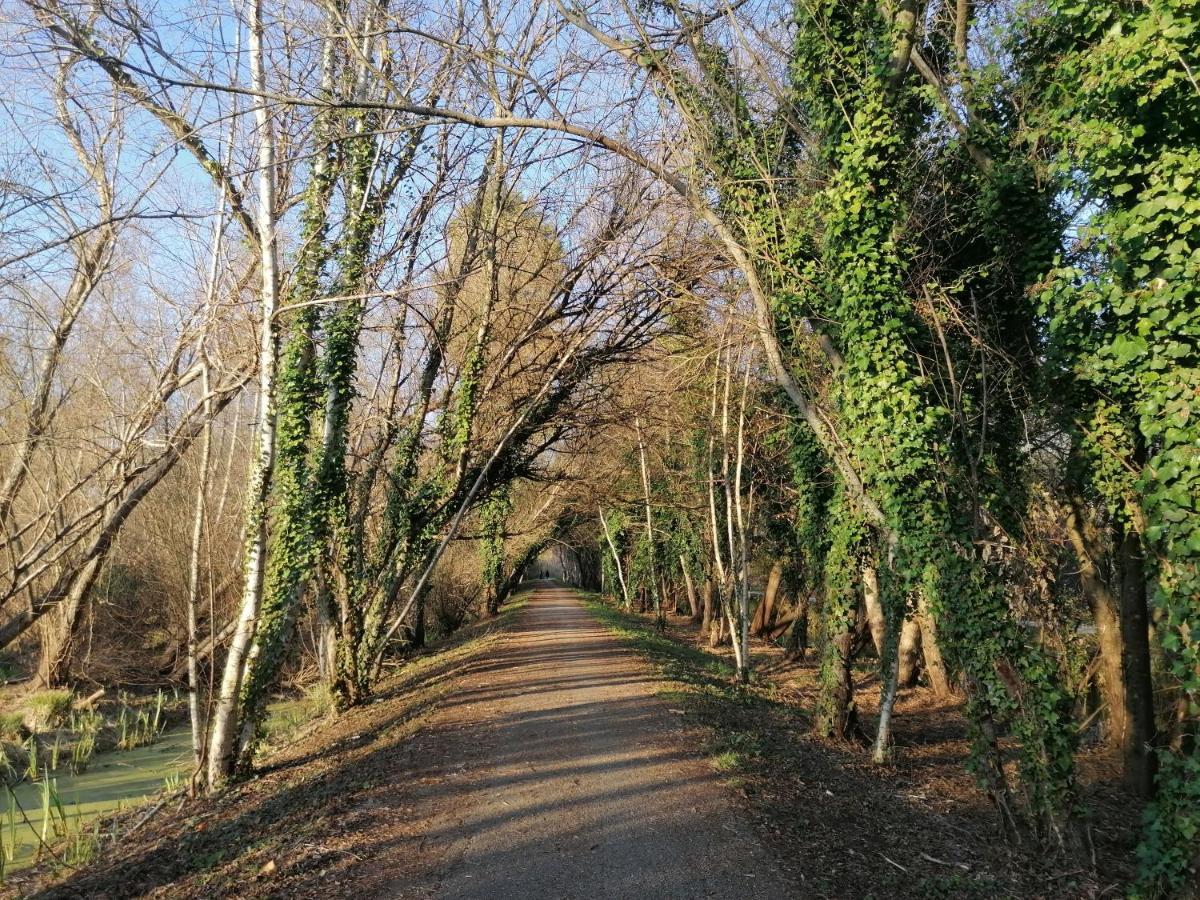 Barrinha_Village برايا دي ميرا المظهر الخارجي الصورة